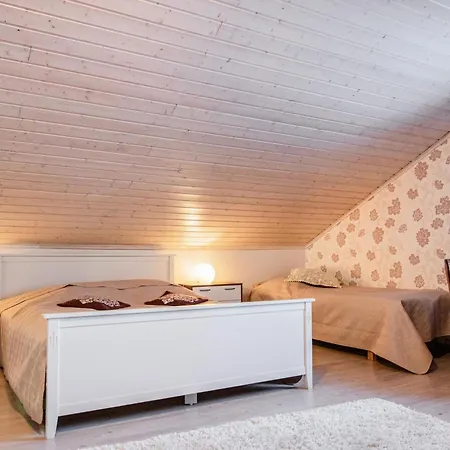 Maenty-linna By Interhome Casa vacanze Kihniö